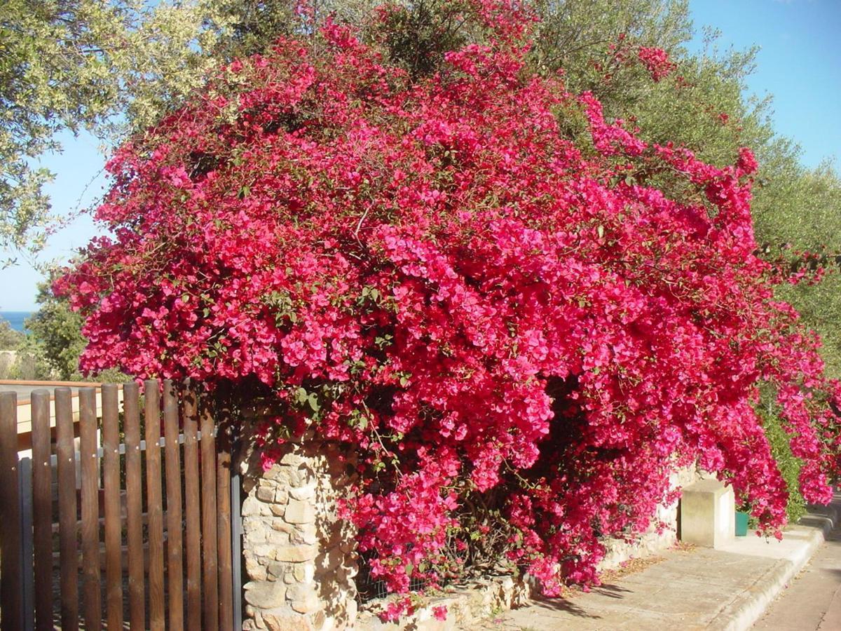 Casa A 300Mt.Dal Mare Calasinzias, 6 Letti, Ac, Pets Welcome, Wi-Fi Free Cala Sinzias Exterior foto